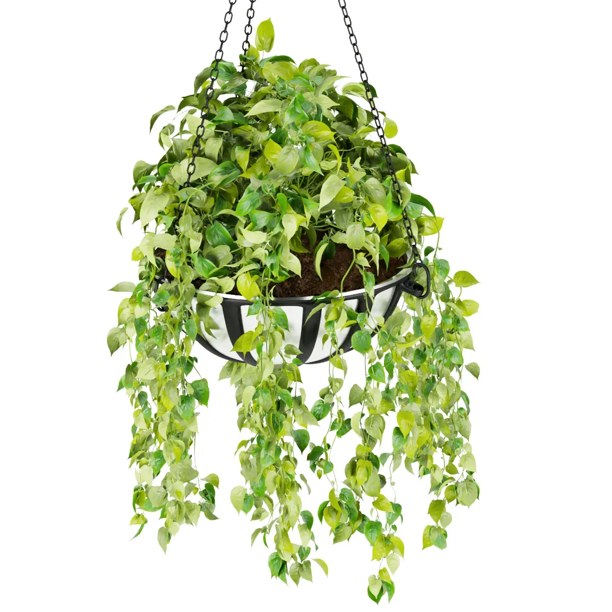 Collection plant vol 240 - leaf - grass - hanging - blender - 3dmax