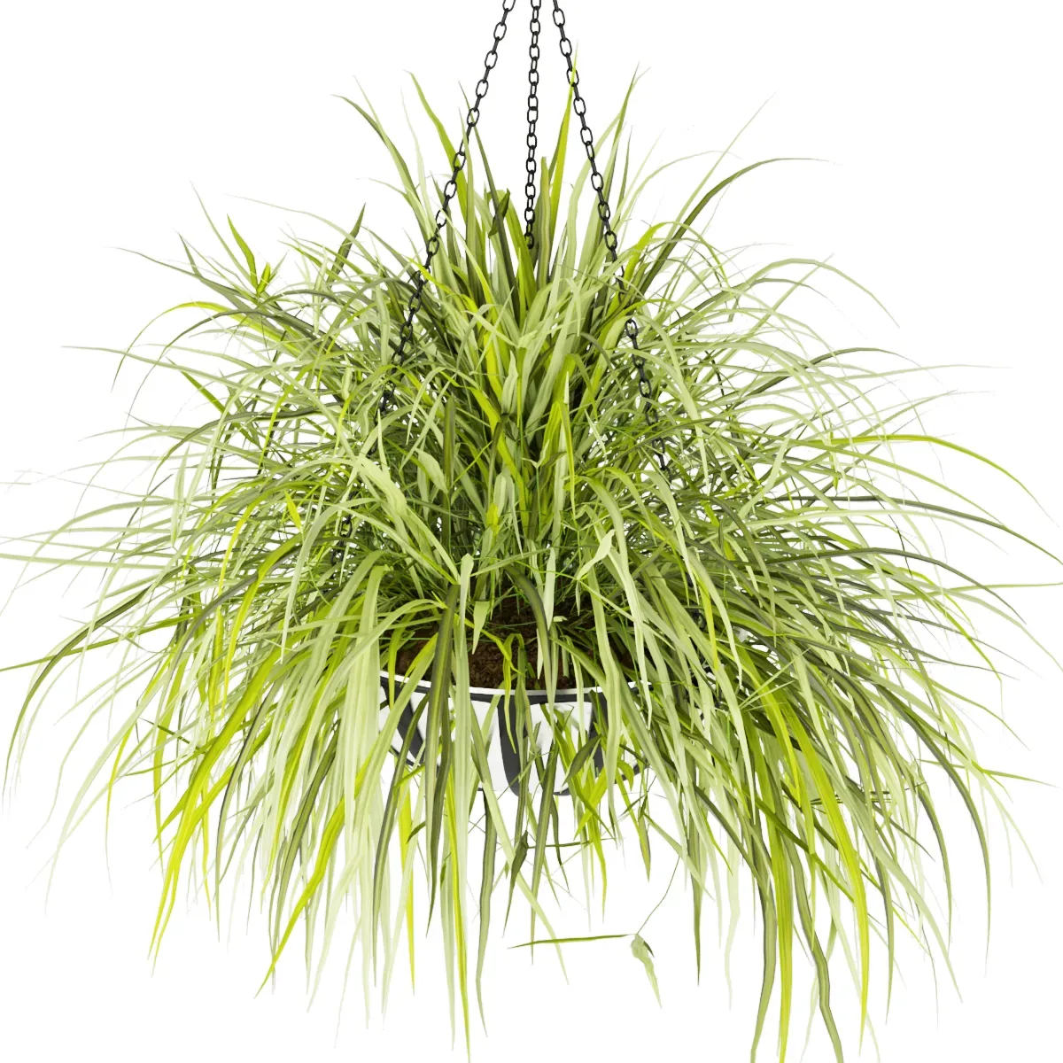 Collection plant vol 240 - leaf - grass - hanging - blender - 3dmax