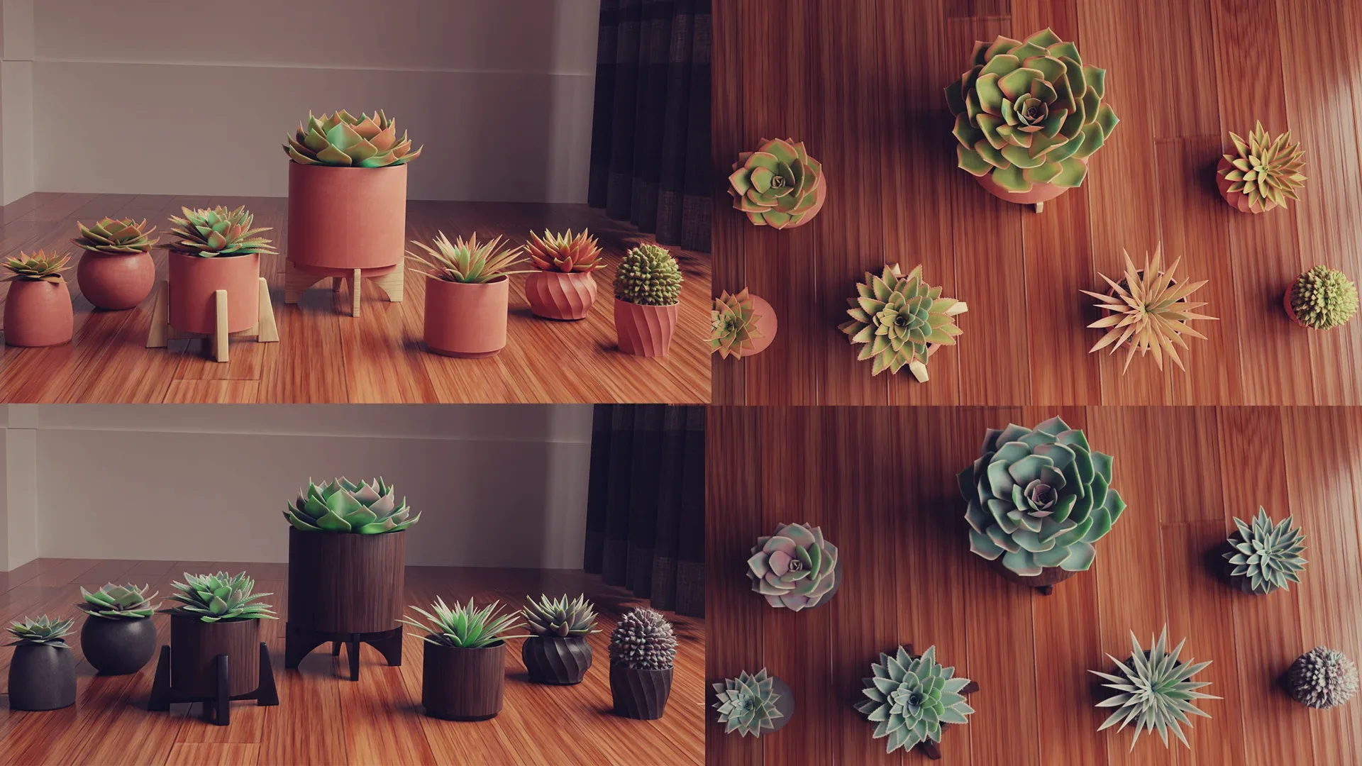 Collection of Succulent Plants , Plants Vol 03