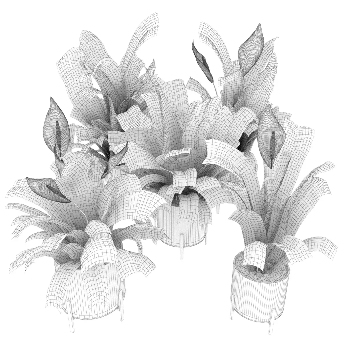 Collection plant vol 274 - indoor - peace - lily - blender - 3dmax - cinema 4d