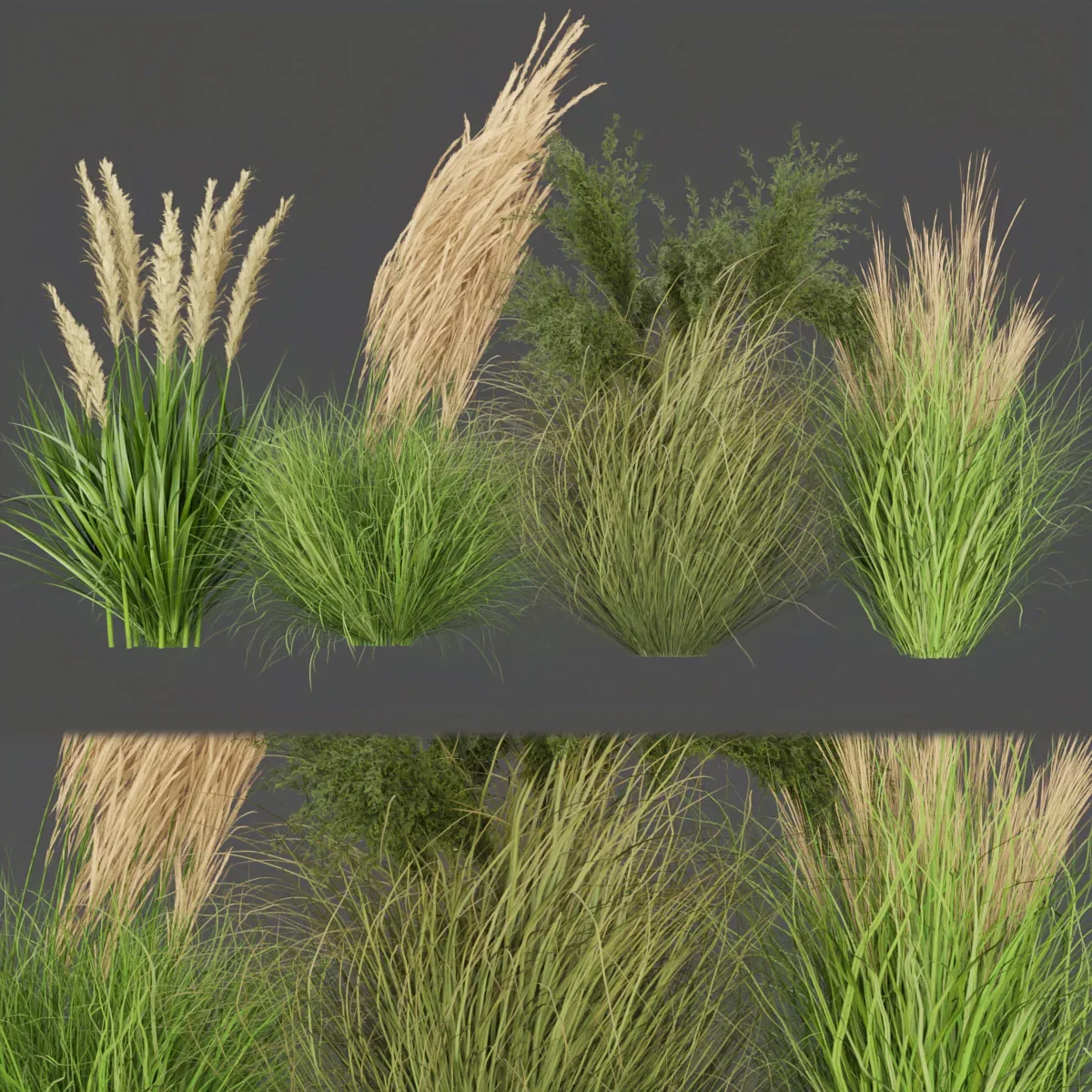 Collection plant vol 287 - outdoor - grass - blender - 3dmax - cinema 4d