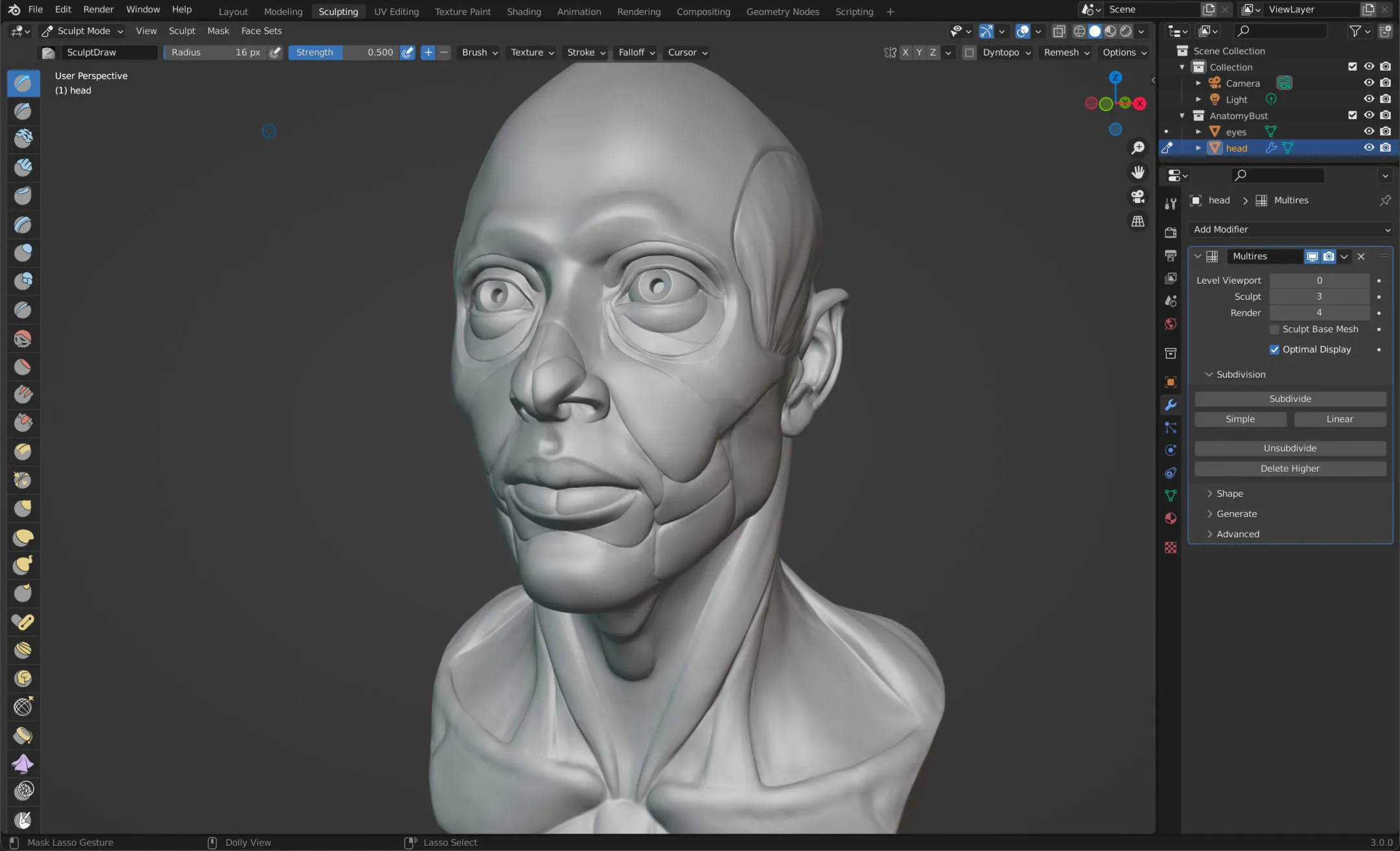 FlippedNormals Anatomy Bust