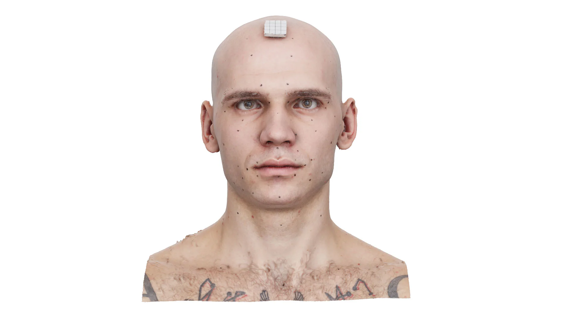 Raw Head Scan | 3D Model Efrain Fields