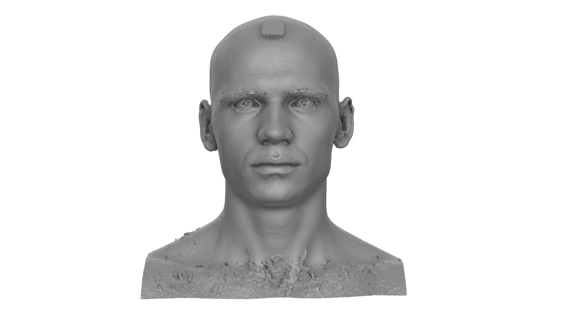 Raw Head Scan | 3D Model Efrain Fields