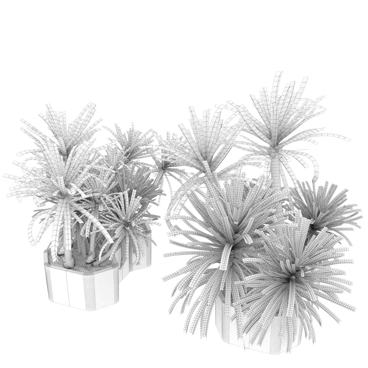 Collection plant vol 321 - indoor - palm - Dracena - blender - 3dmax - cinema 4d