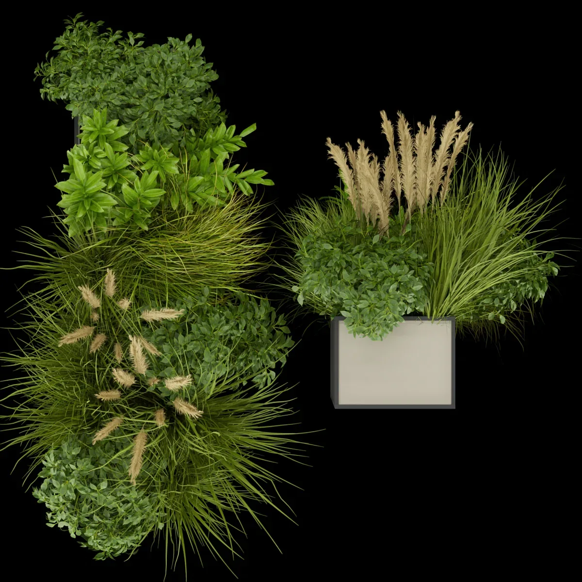 Collection plant vol 324 - indoor -leaf - grass - blender - 3dmax - cinema 4d