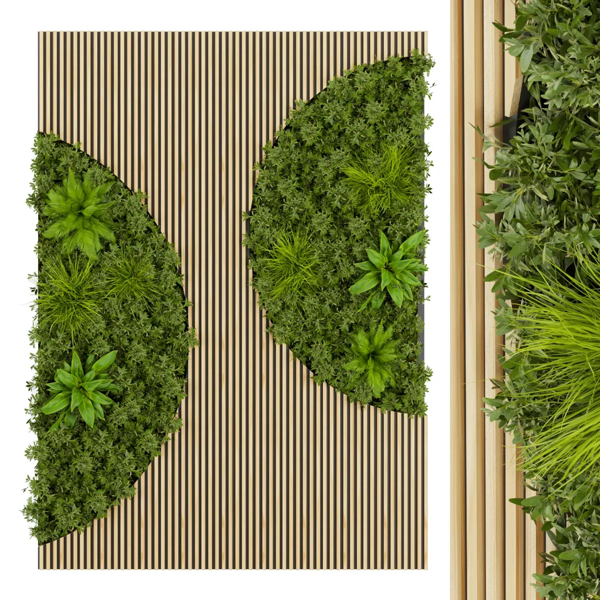 Collection plant vol 331 - fitowall - leaf - blender - 3dmax - cinema 4d