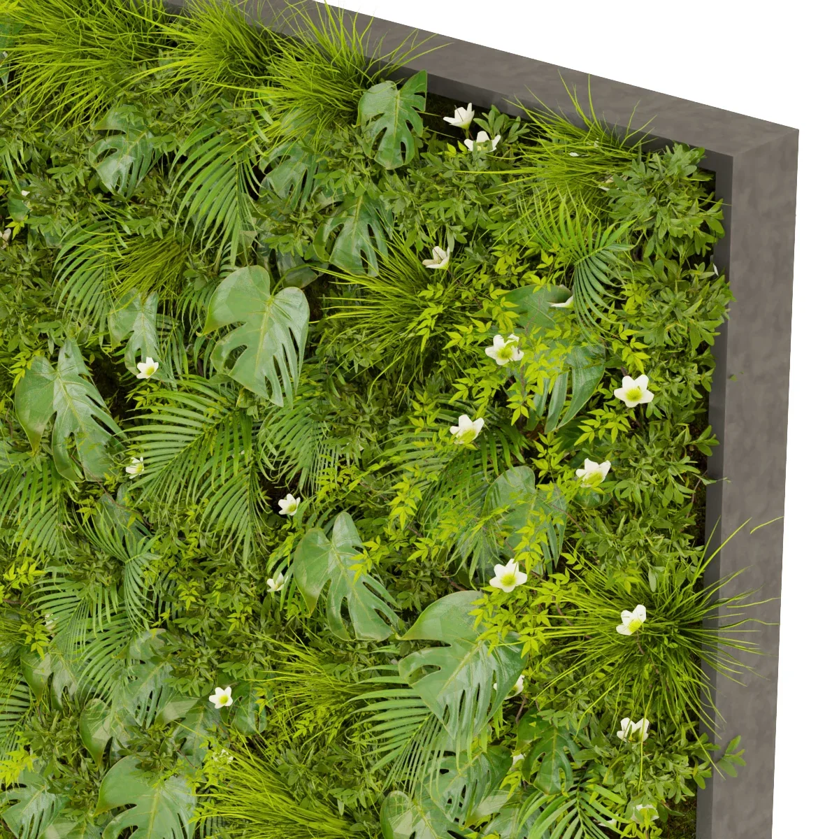 Collection plant vol 359 - fitowall - ertical - leaf - palm - monstera - blender - 3dmax - cinema 4d