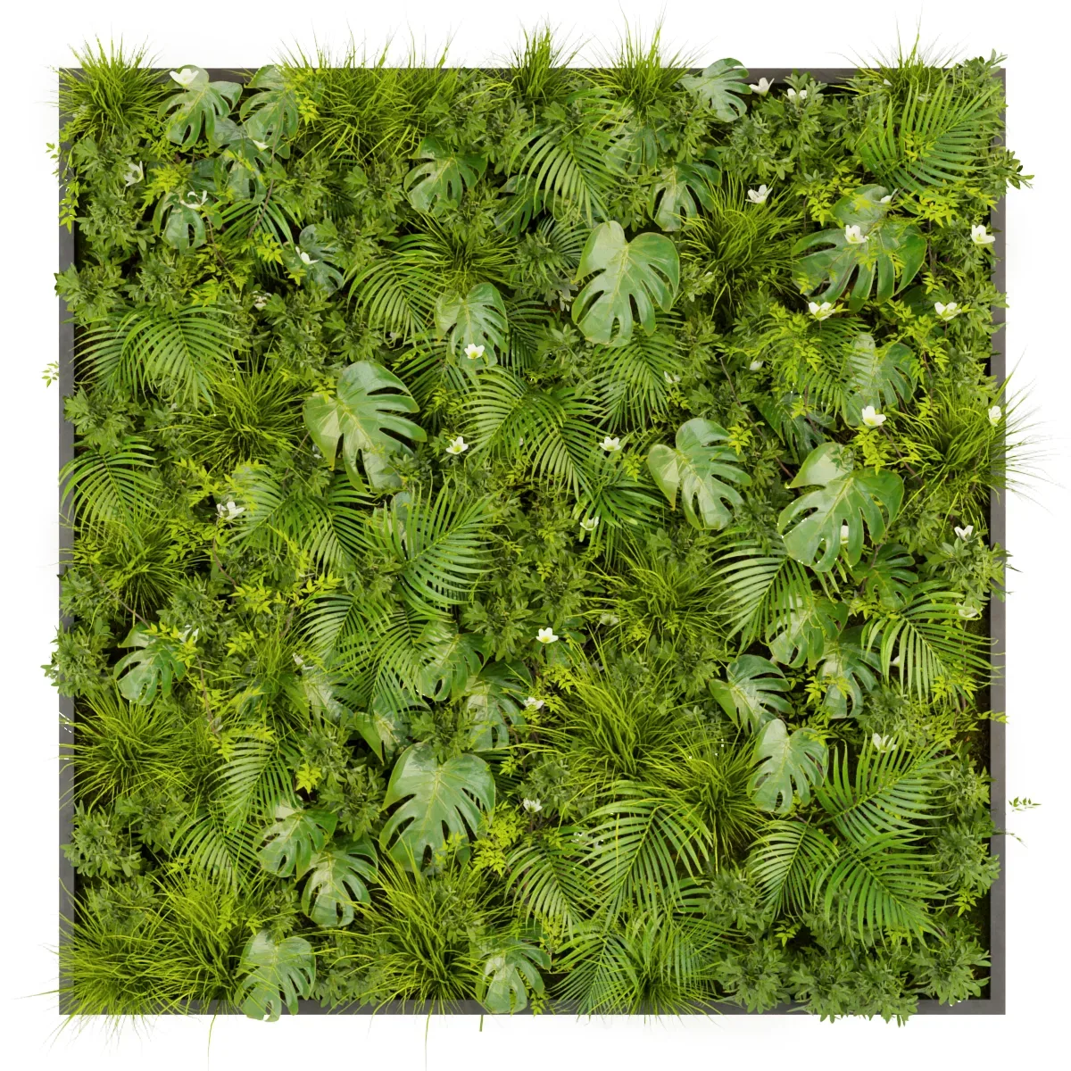 Collection plant vol 359 - fitowall - ertical - leaf - palm - monstera - blender - 3dmax - cinema 4d