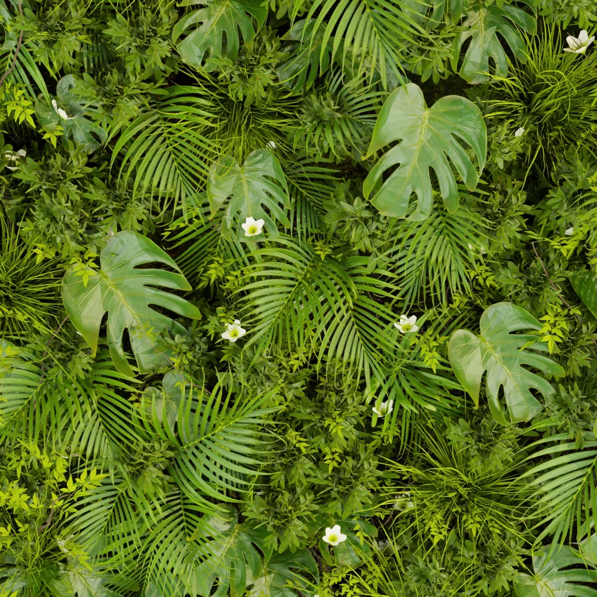 Collection plant vol 359 - fitowall - ertical - leaf - palm - monstera - blender - 3dmax - cinema 4d