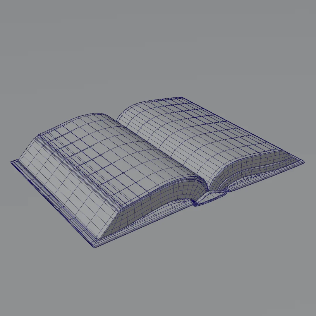 Open Book PBR 3D Model