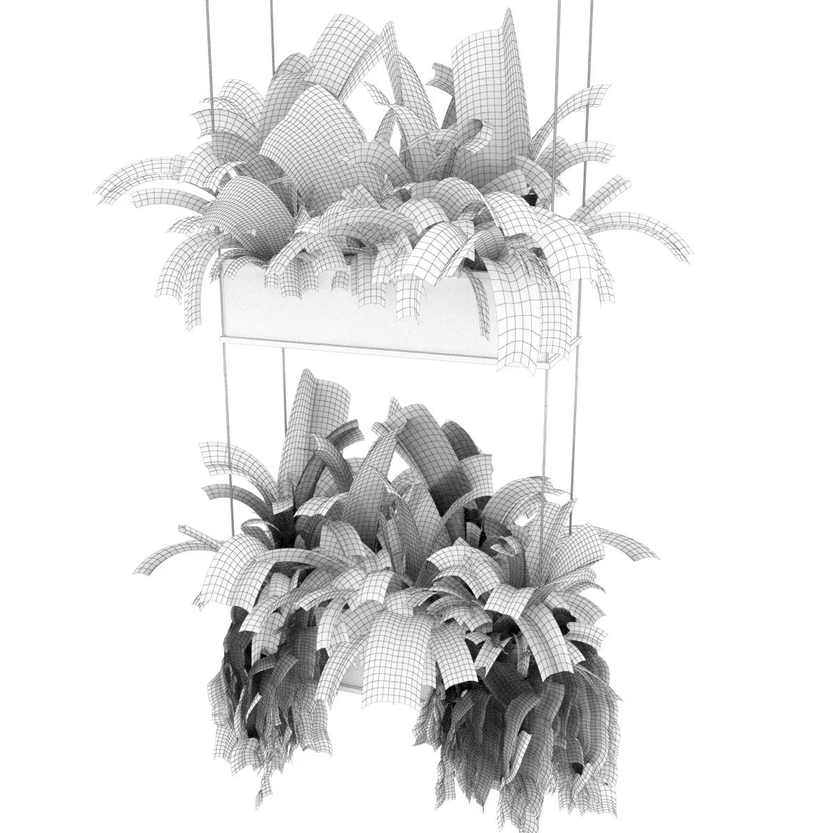 Collection plant vol 363 - fern - leaf - hanging - ampelous - 3dmodel - blender - 3dmax - cinema 4d