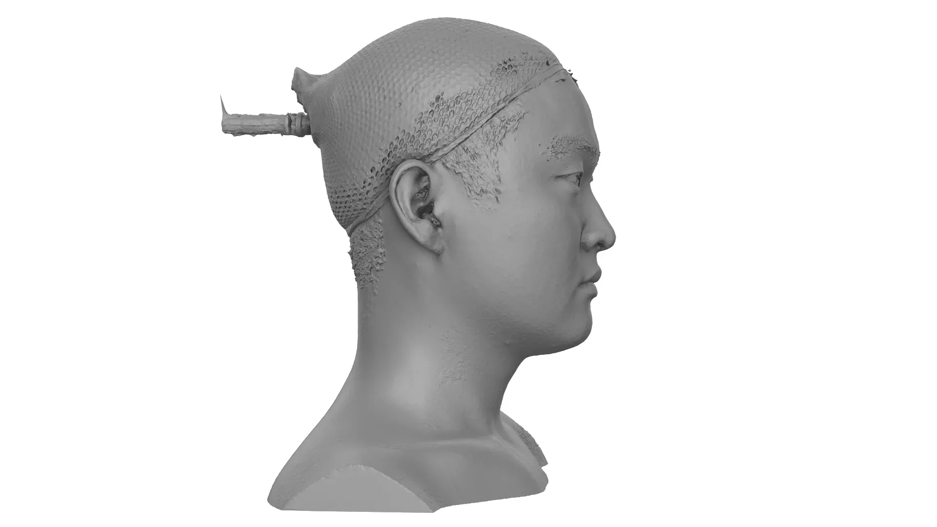 Raw Head Scan | 3D Model Dokuro Konyo