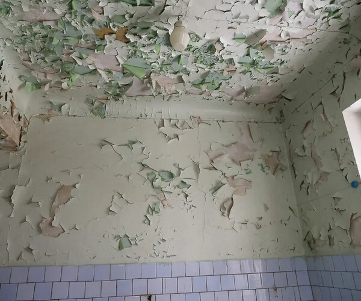 Abandoned buildings, walls and ceiling