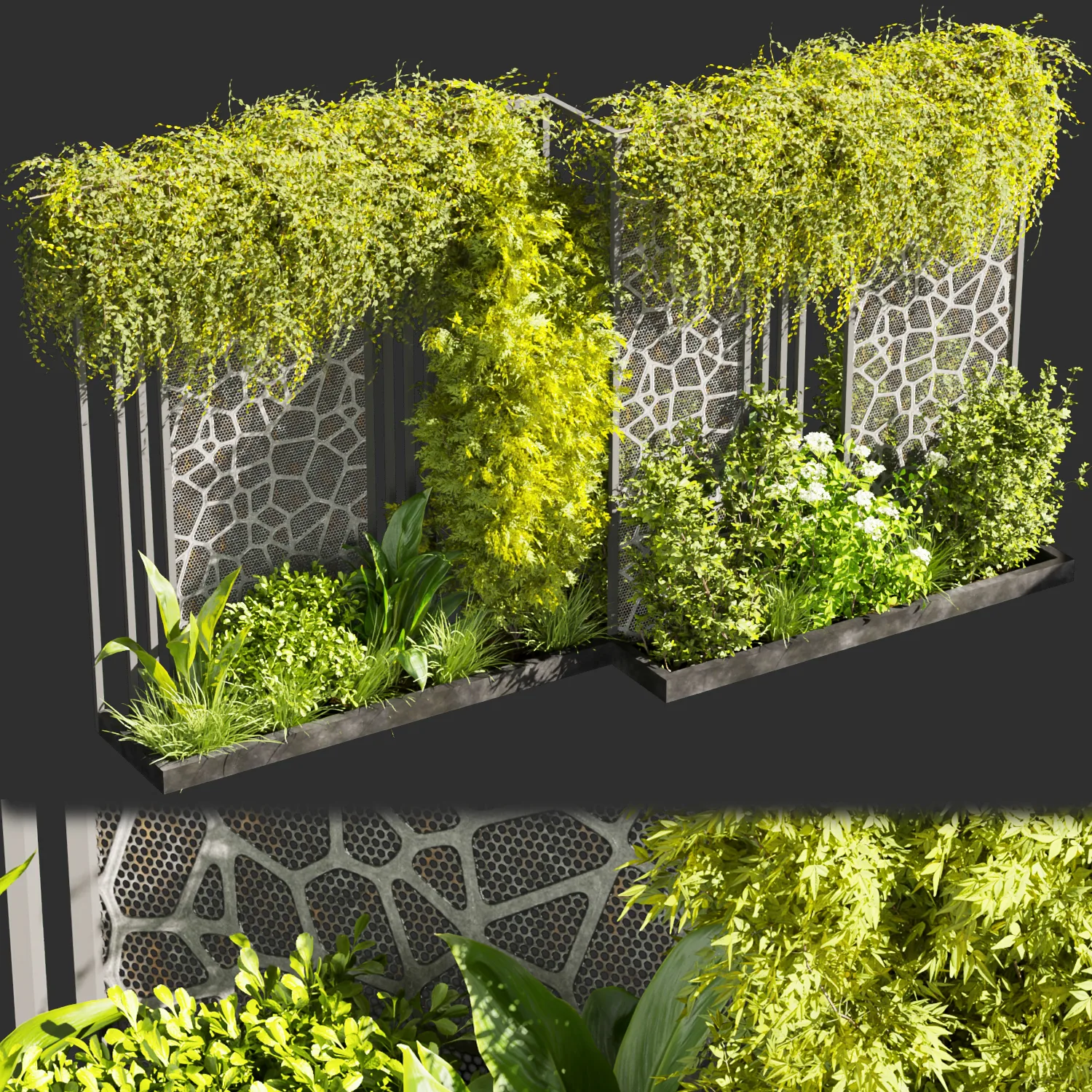 Collection plant vol 379 - Urban environment - wall yard - leaf - bush - ivy - blender - 3dmax - cinema 4d