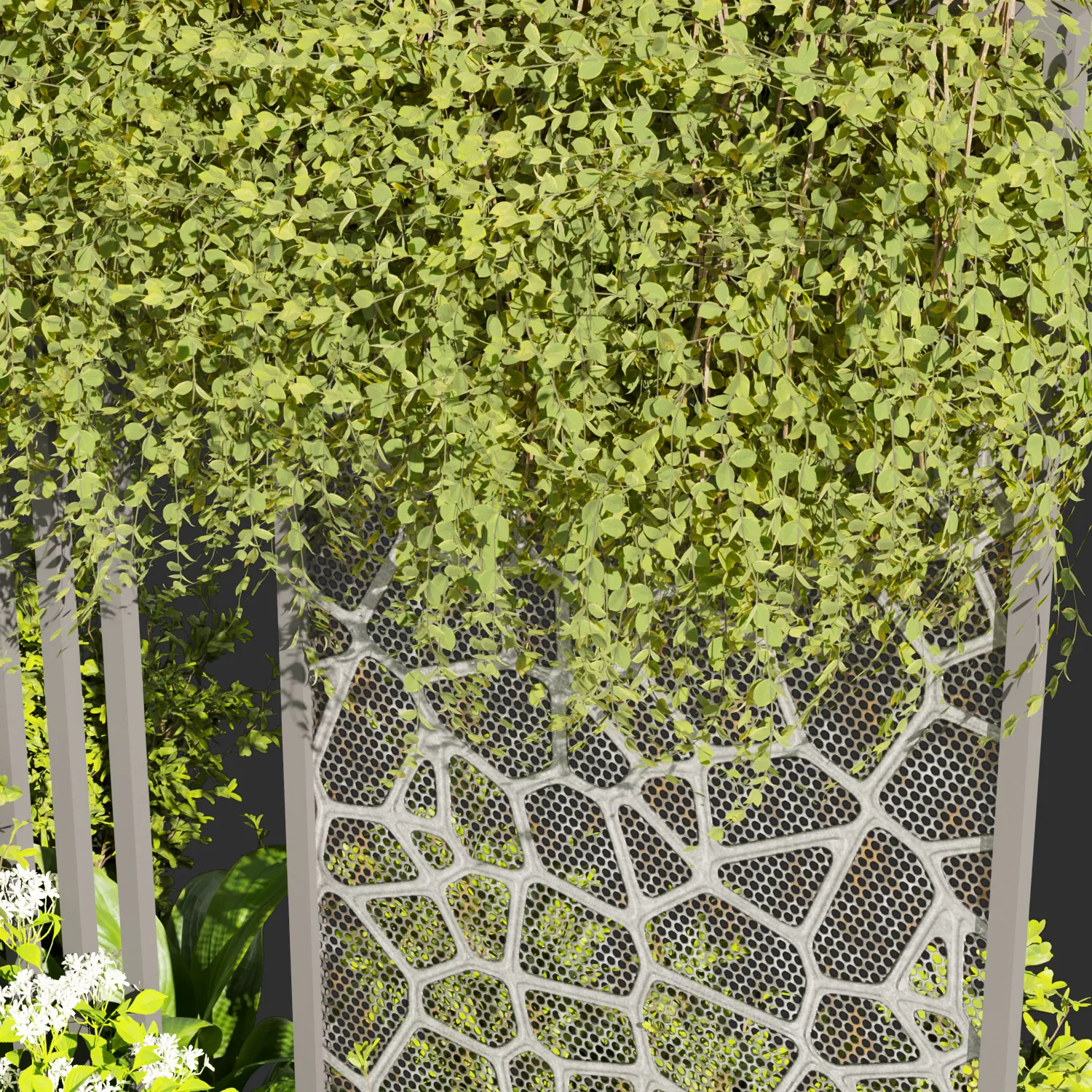 Collection plant vol 379 - Urban environment - wall yard - leaf - bush - ivy - blender - 3dmax - cinema 4d