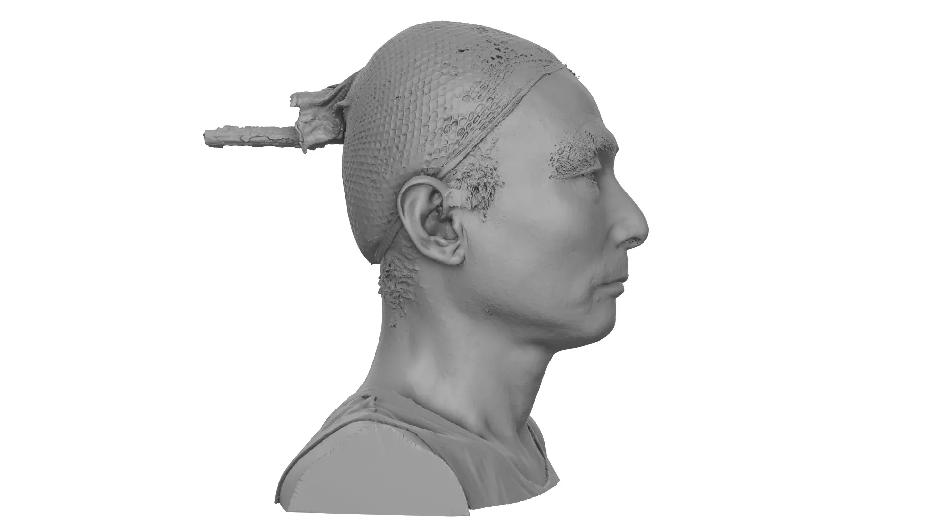 Raw Head Scan | 3D Model Hitarashi Hachigoro