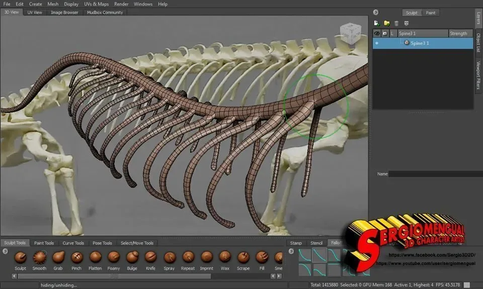 Komodo Dragon Skeleton 3D print model
