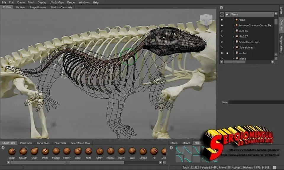 Komodo Dragon Skeleton 3D print model