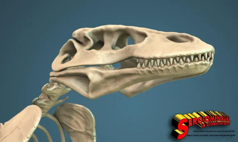 Komodo Dragon Skeleton 3D print model