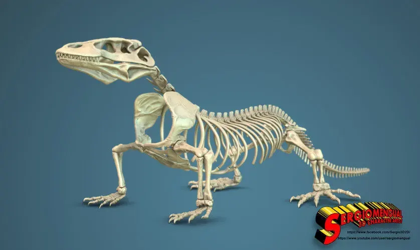 Komodo Dragon Skeleton 3D print model