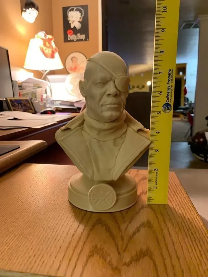 Nick Fury Bust for 3D printing 3D print model