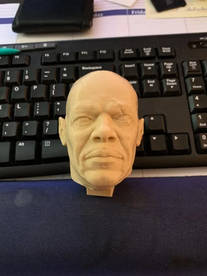 Nick Fury Bust for 3D printing 3D print model