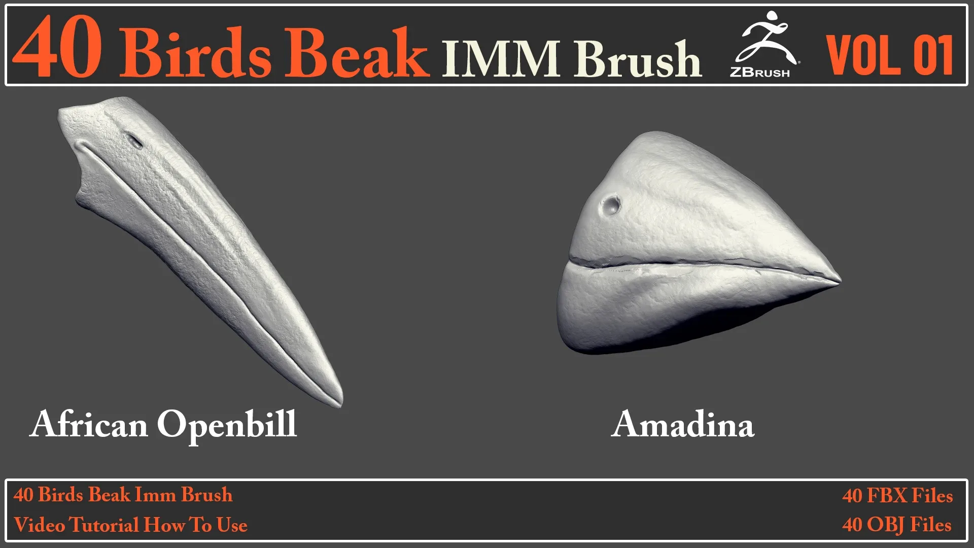 40 Birds Beak IMM Brush + Video How To Use