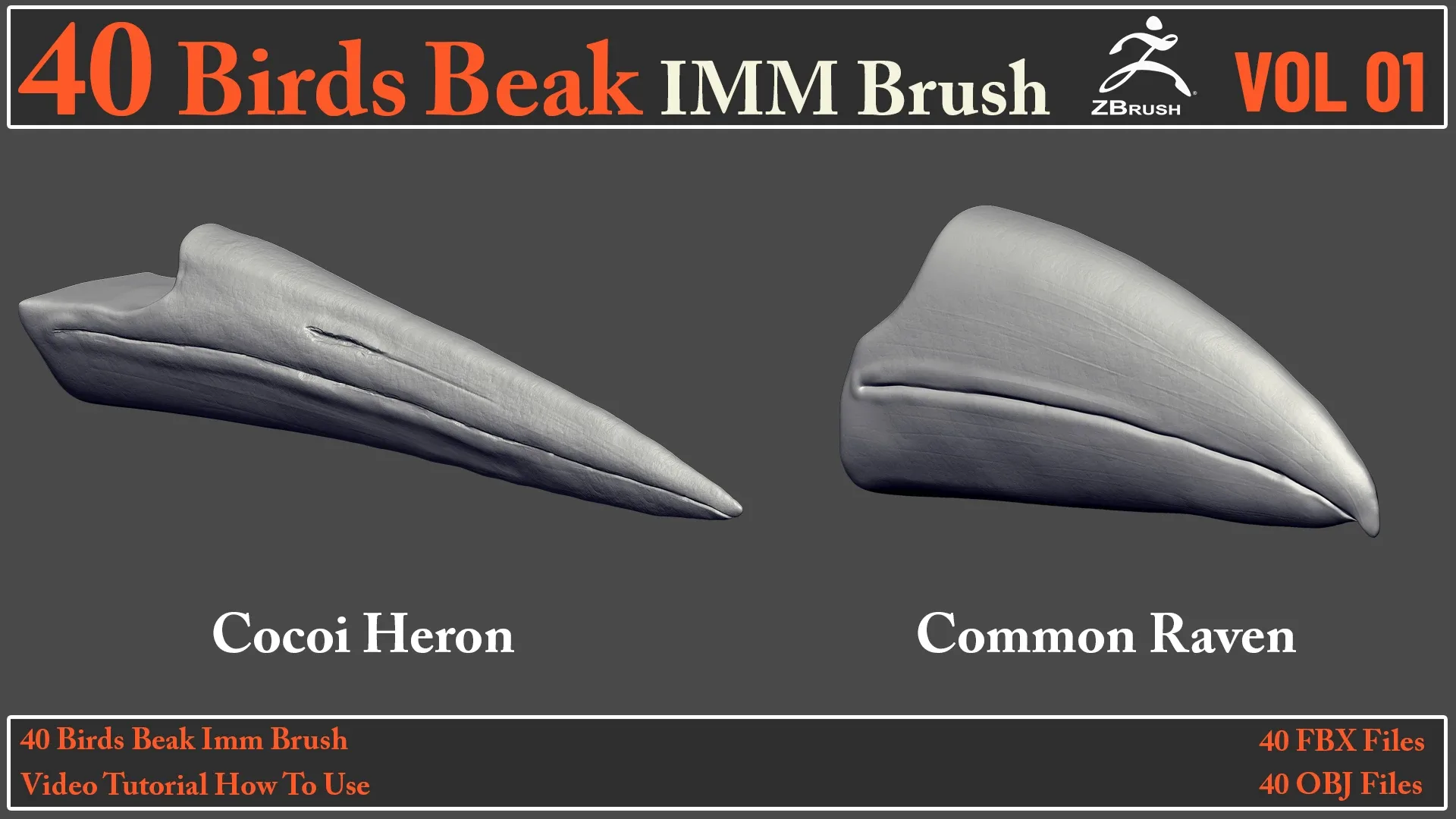 40 Birds Beak IMM Brush + Video How To Use