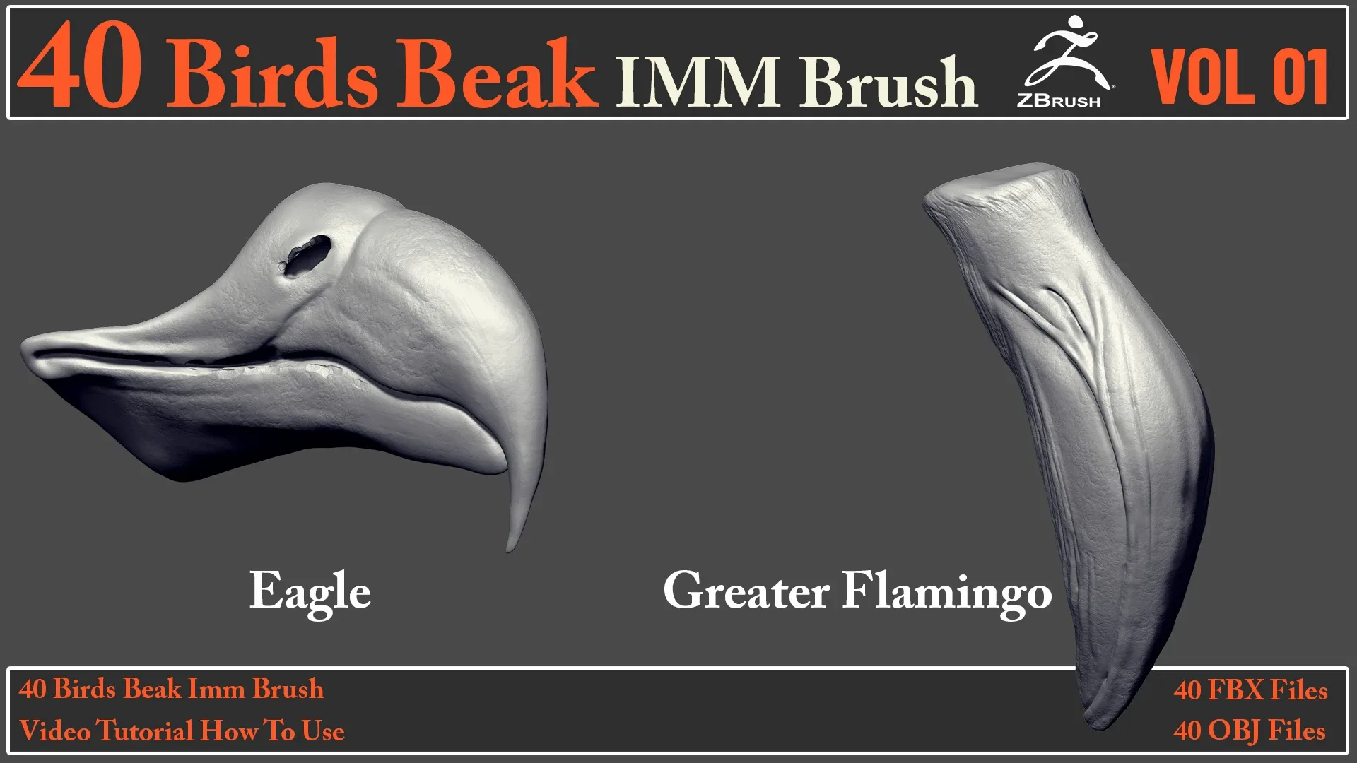 40 Birds Beak IMM Brush + Video How To Use