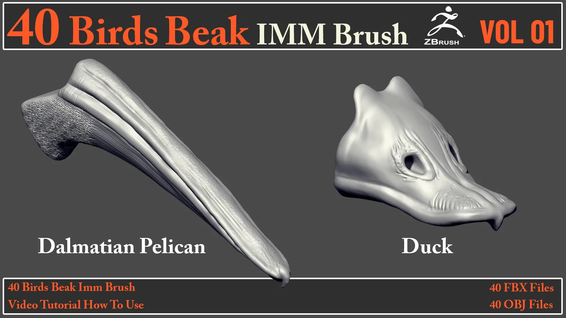 40 Birds Beak IMM Brush + Video How To Use