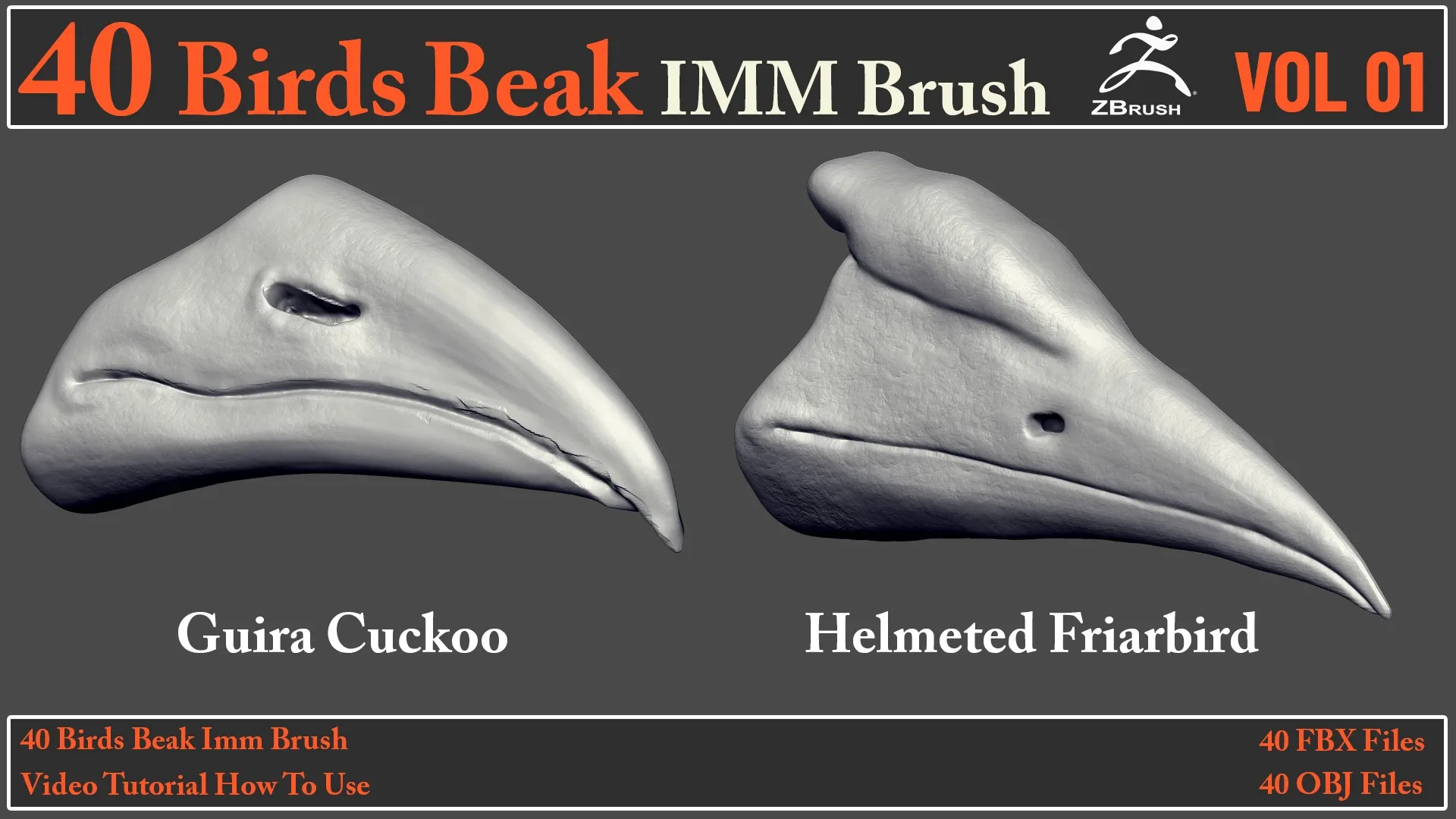 40 Birds Beak IMM Brush + Video How To Use