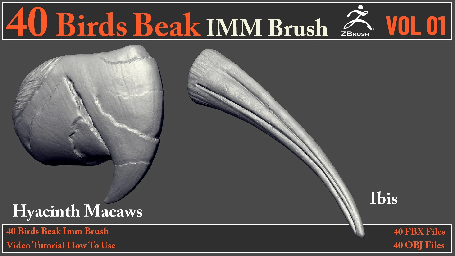 40 Birds Beak IMM Brush + Video How To Use