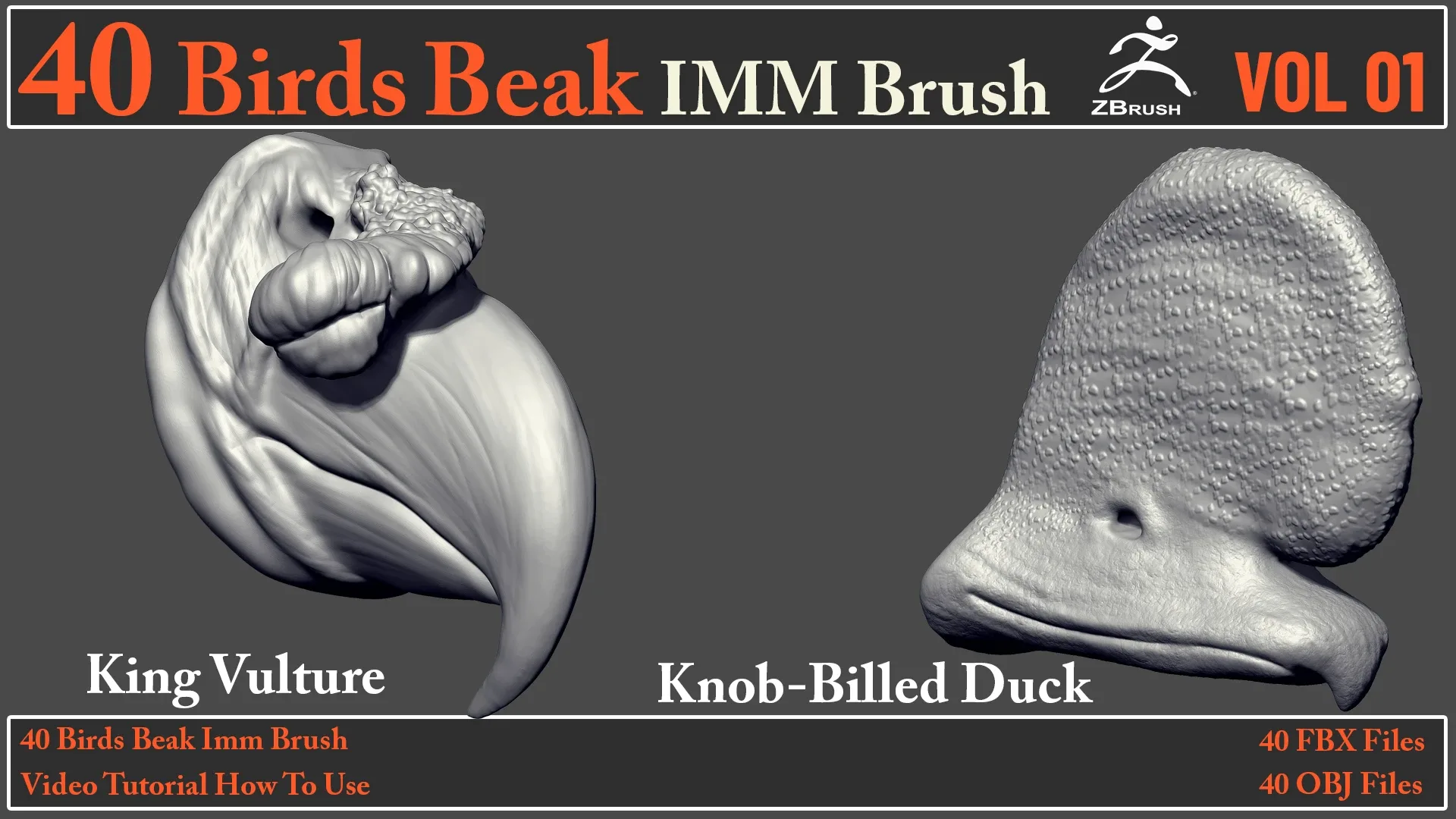 40 Birds Beak IMM Brush + Video How To Use