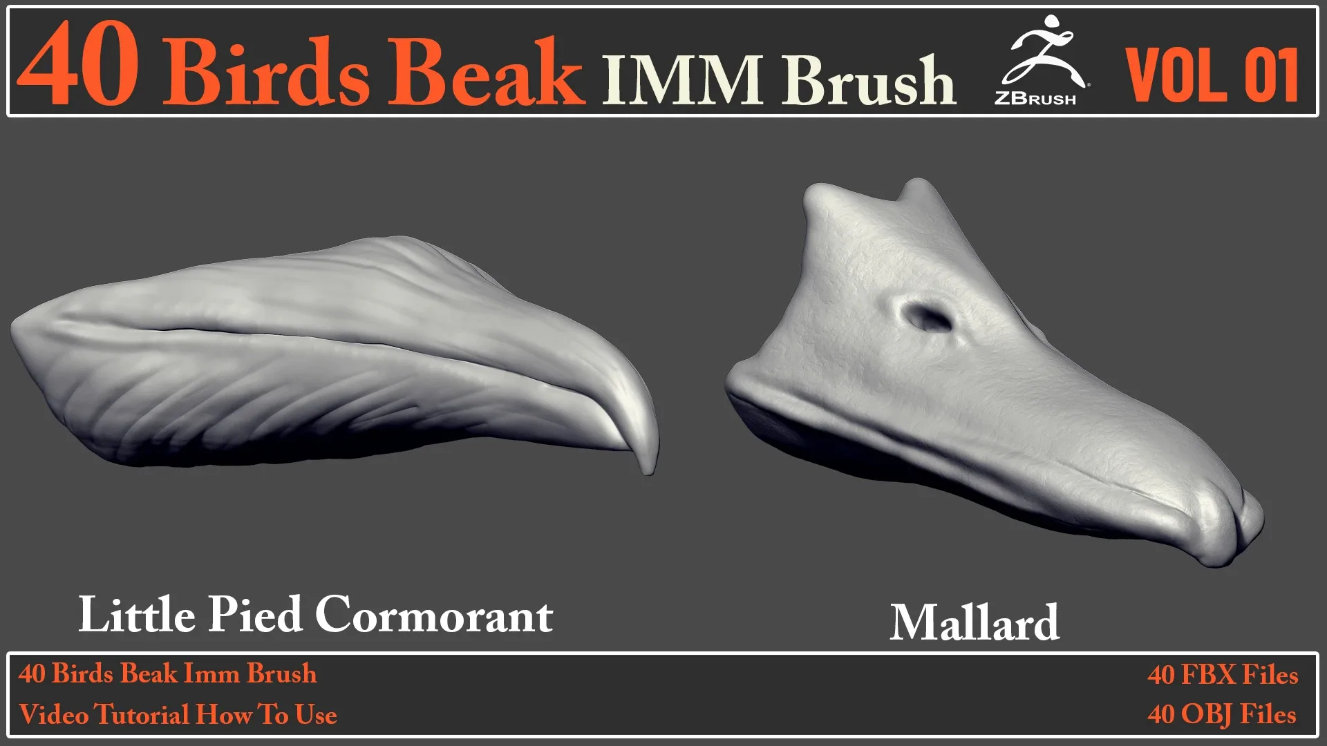 40 Birds Beak IMM Brush + Video How To Use