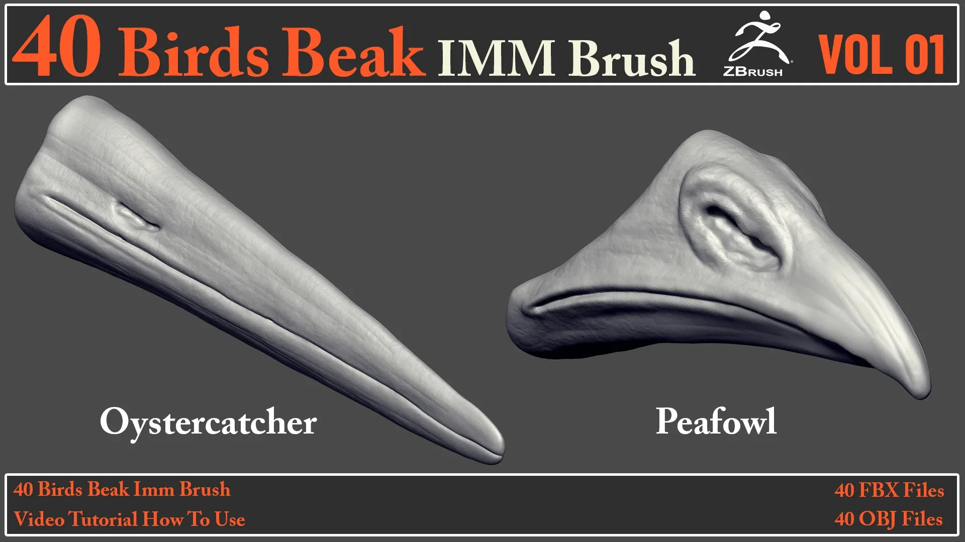 40 Birds Beak IMM Brush + Video How To Use