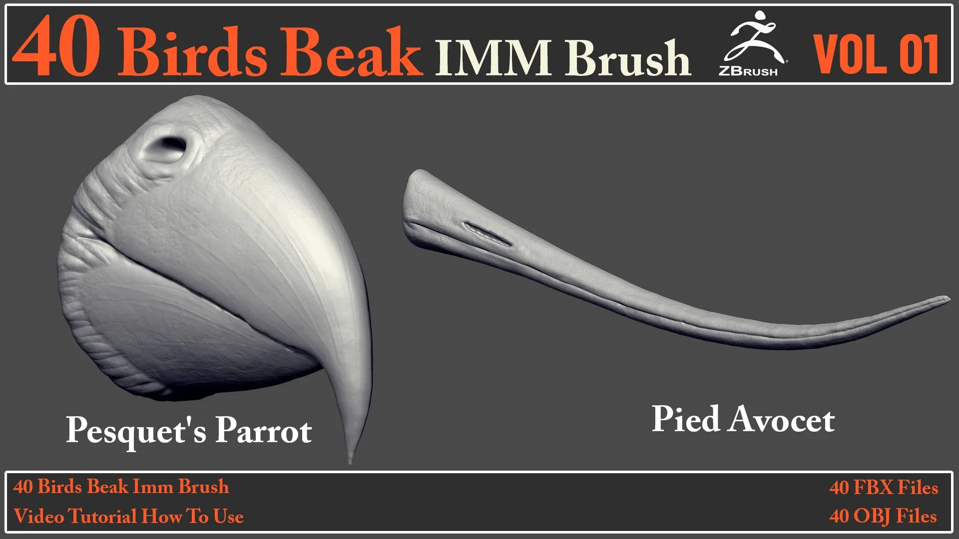 40 Birds Beak IMM Brush + Video How To Use