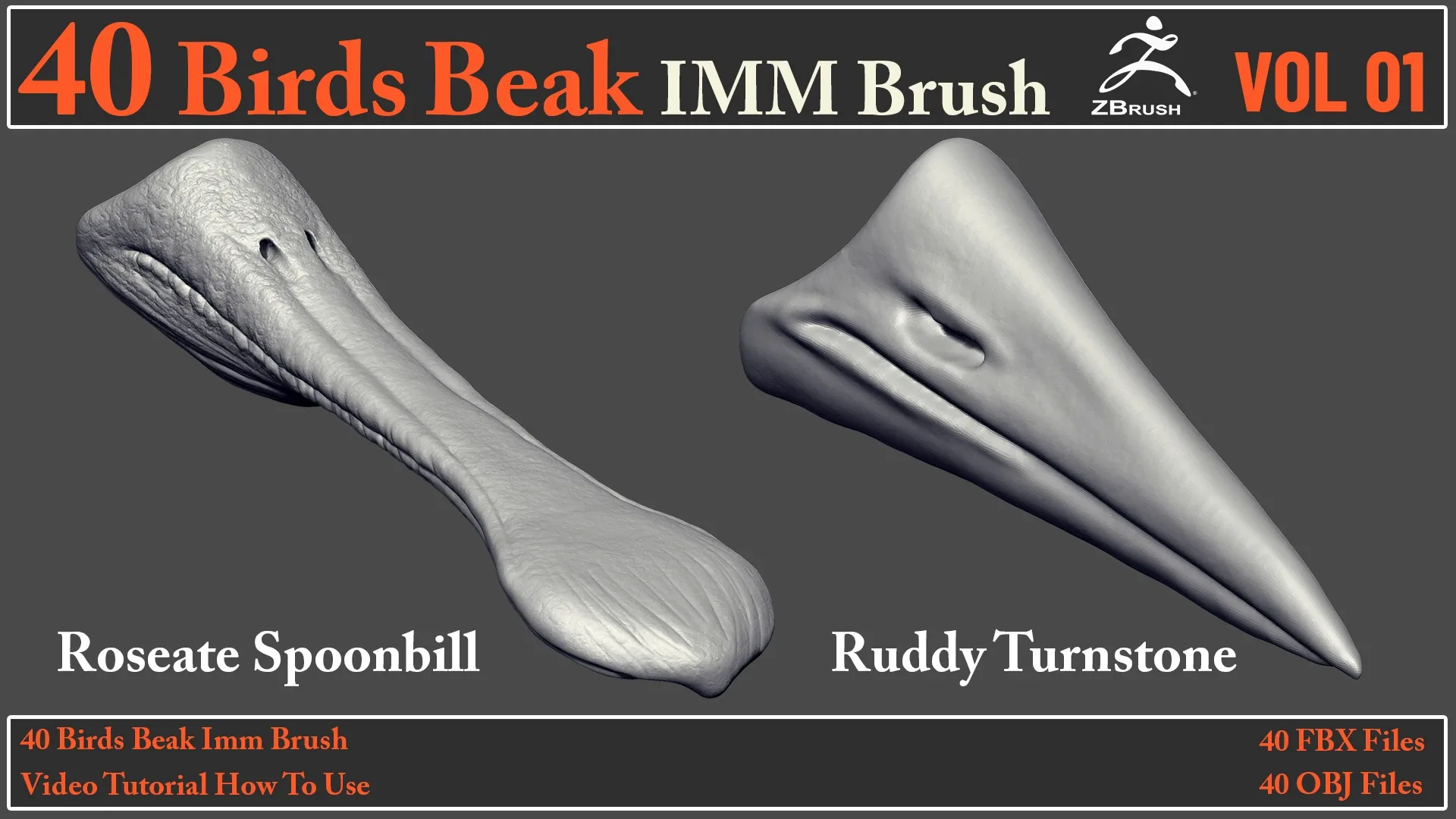 40 Birds Beak IMM Brush + Video How To Use