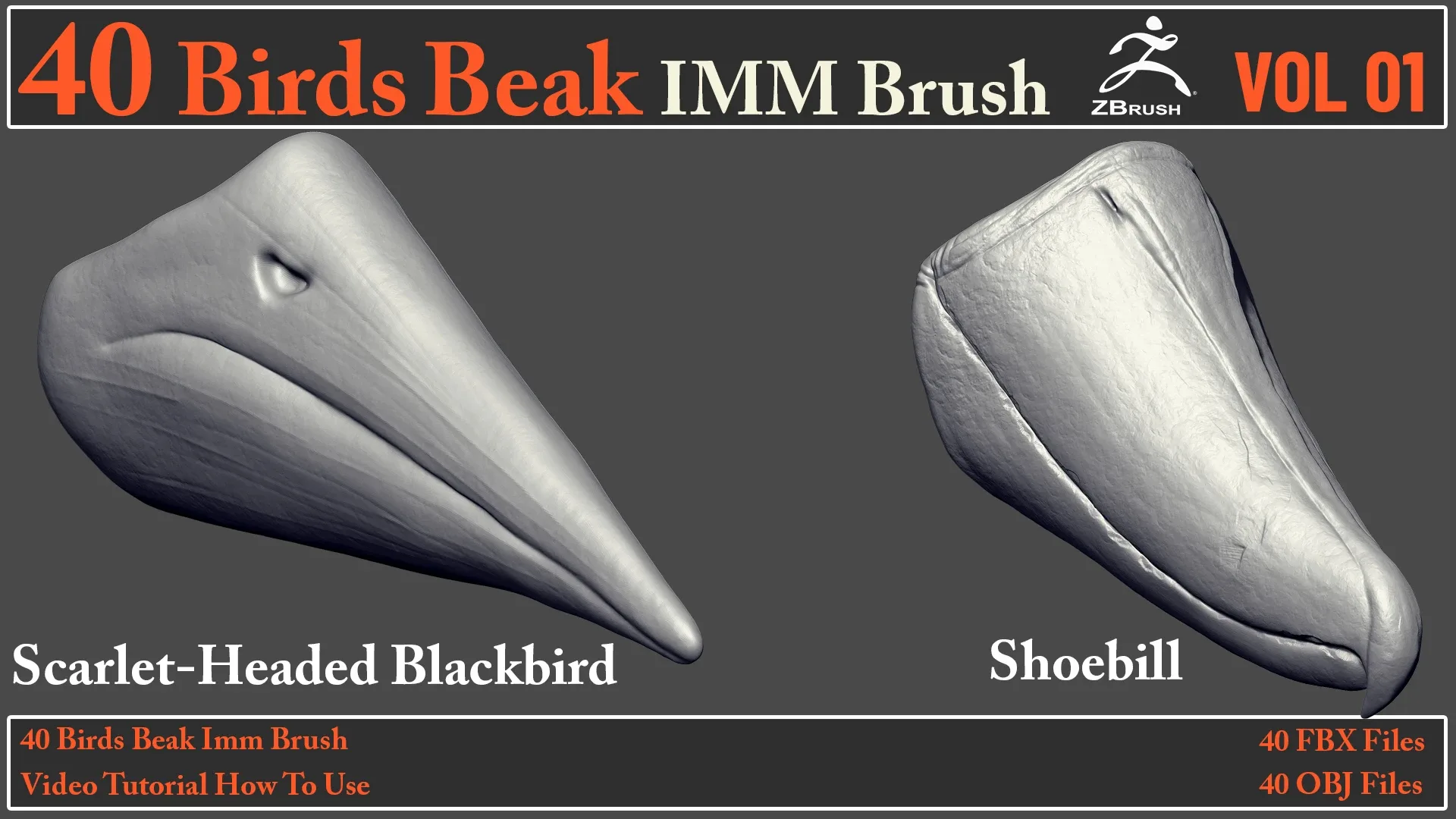 40 Birds Beak IMM Brush + Video How To Use