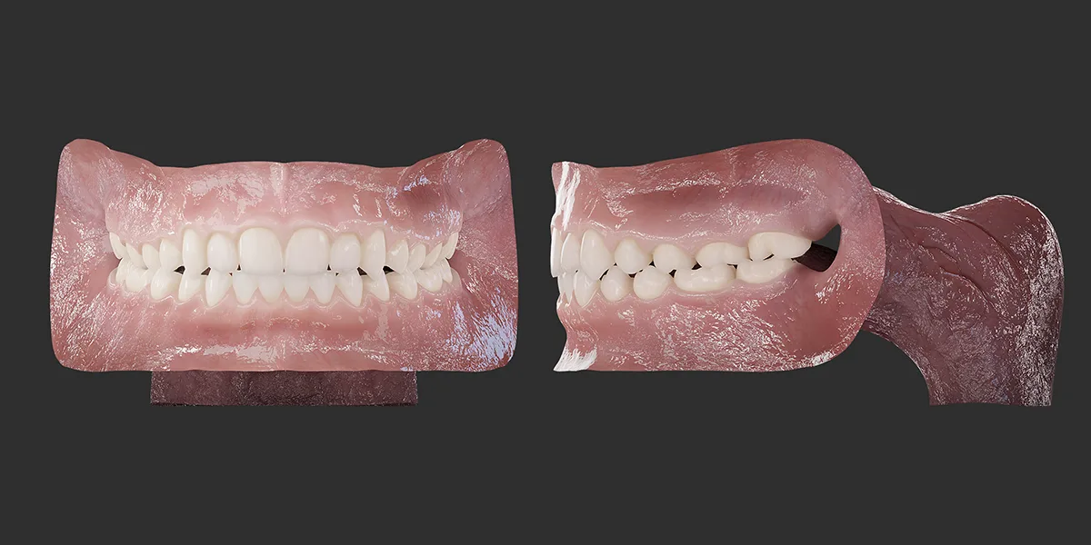 Photorealistic Human Mouth