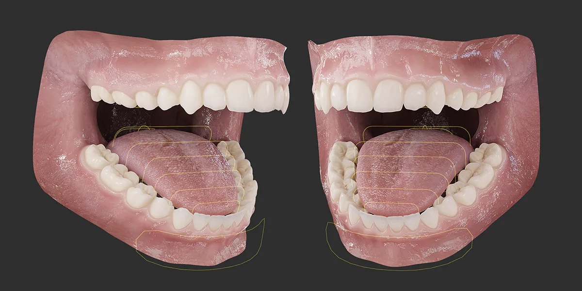 Photorealistic Human Mouth