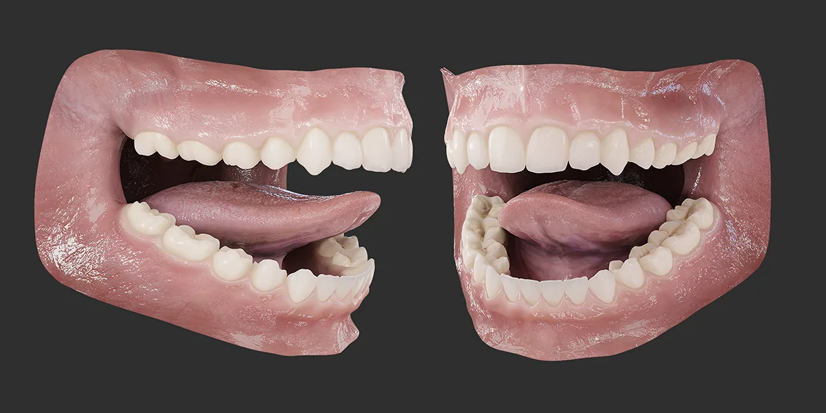 Photorealistic Human Mouth