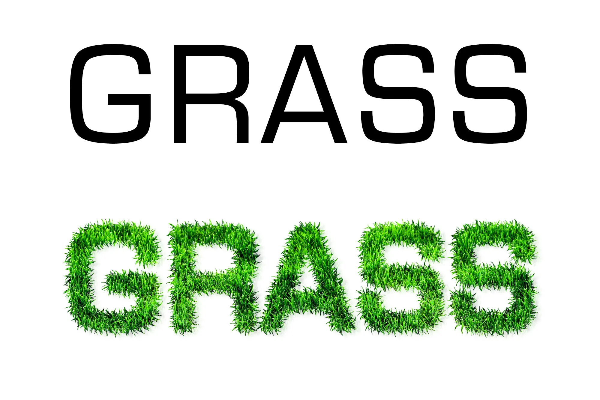 Grass Photoshop Actions, Natural Green Grass Generator, Grass textures creator, Patterns, Photography realistic effect of green grass