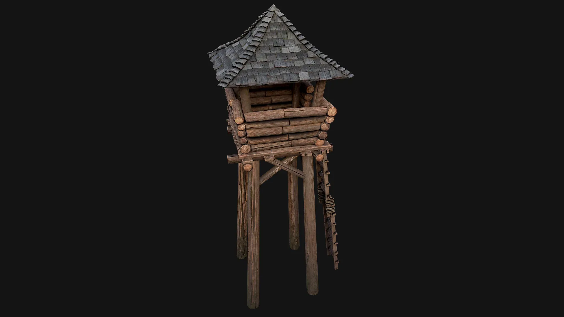 Medieval Lookout Tower