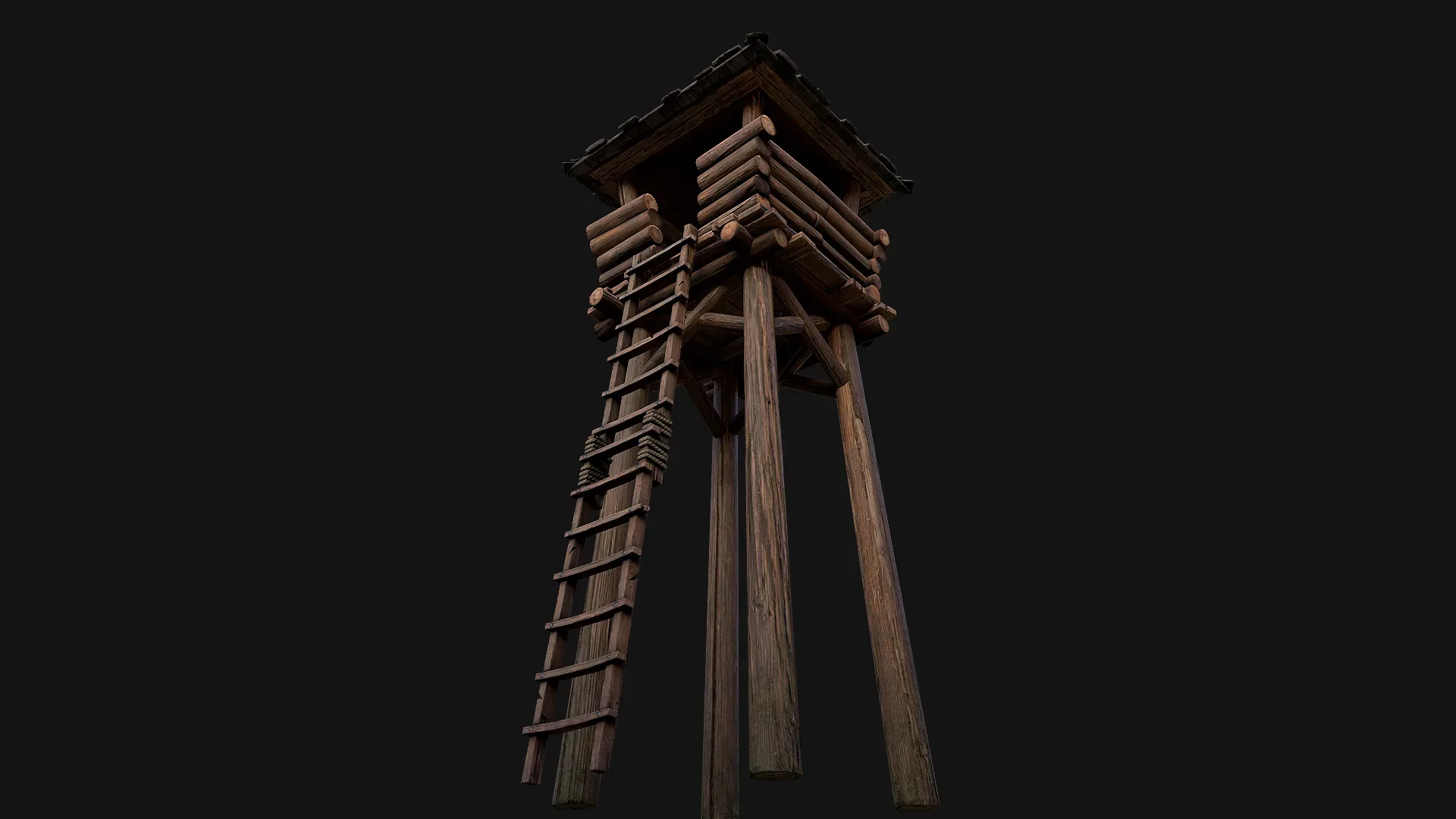 Medieval Lookout Tower