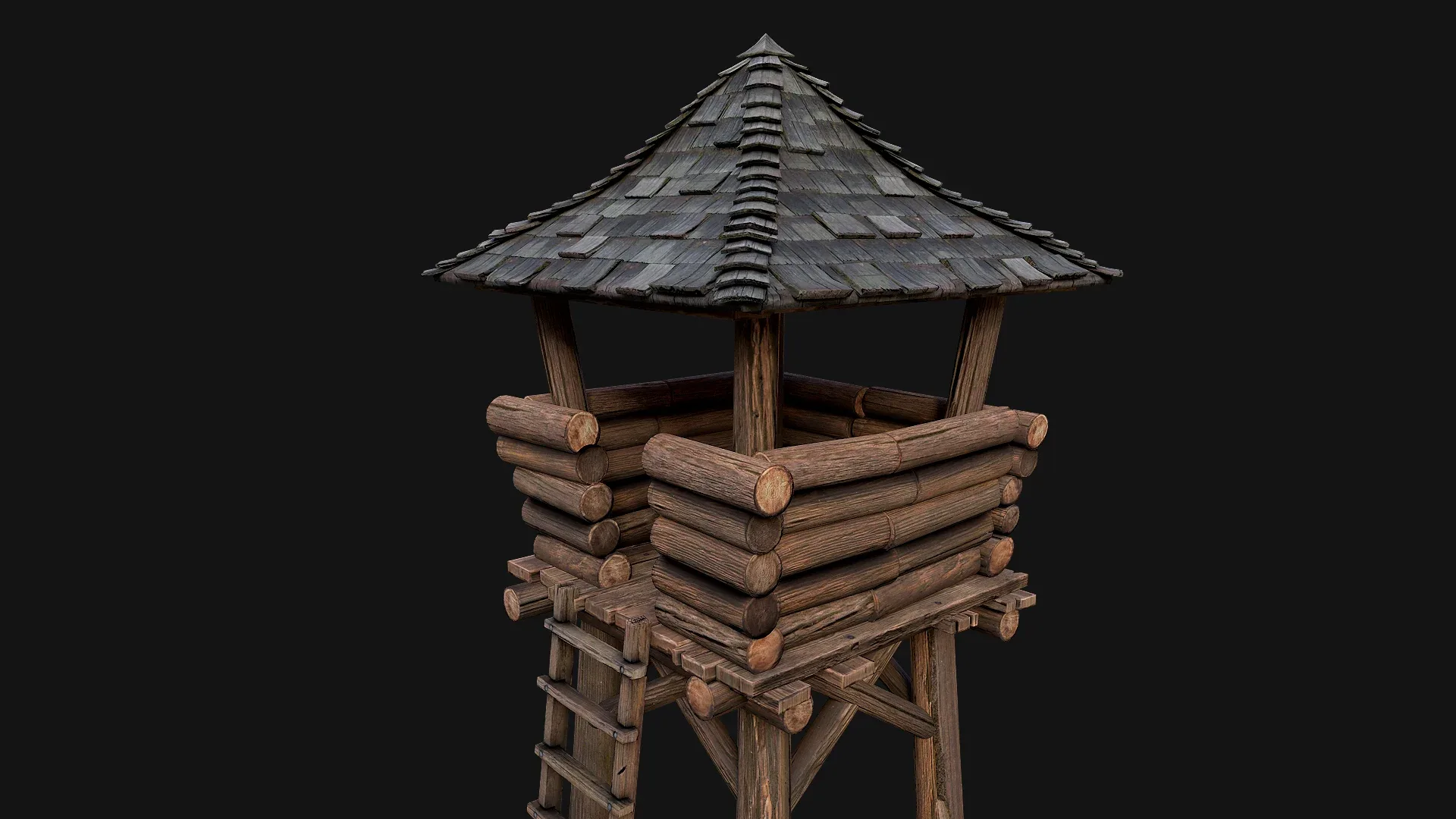 Medieval Lookout Tower