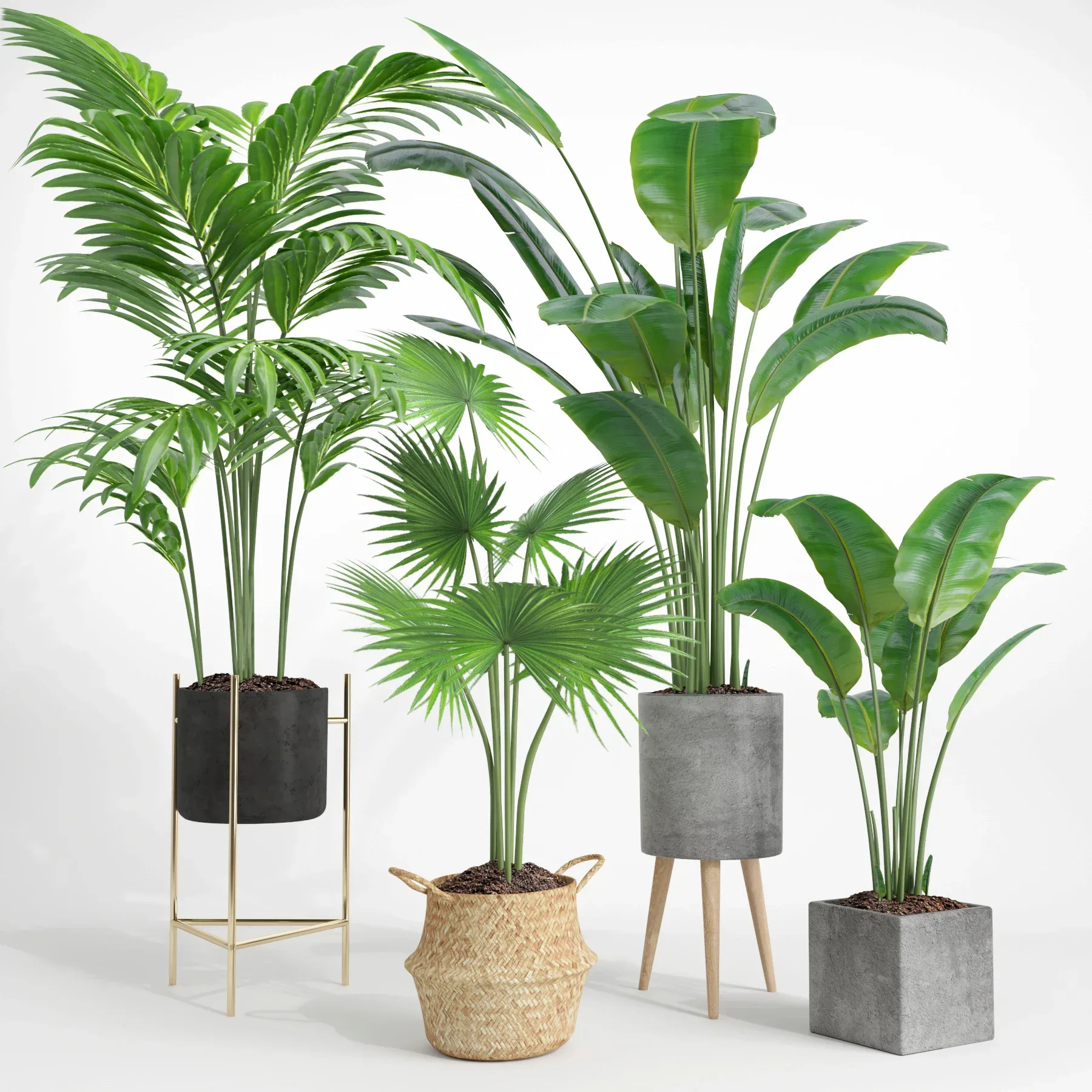 indoor plant set002