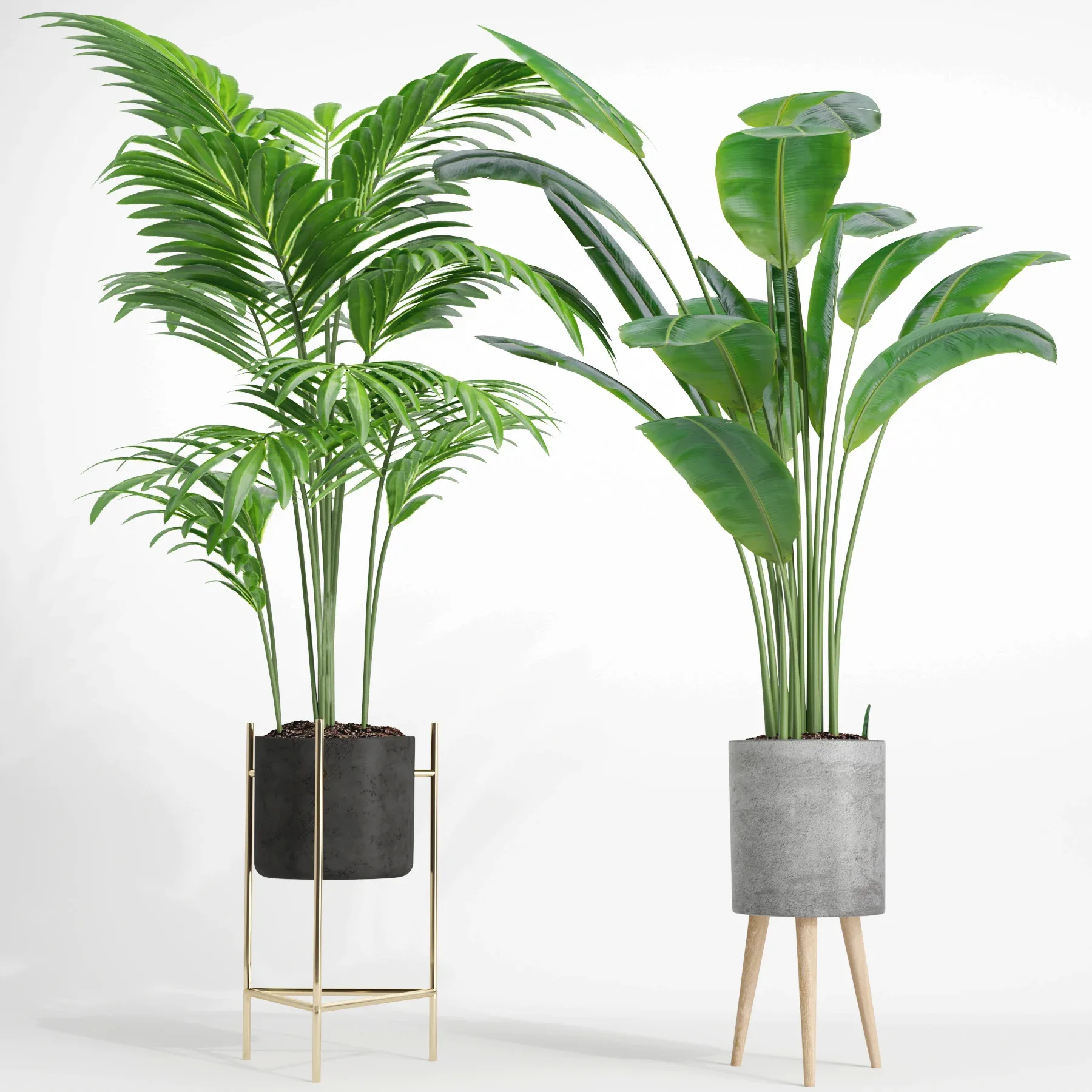 indoor plant set002