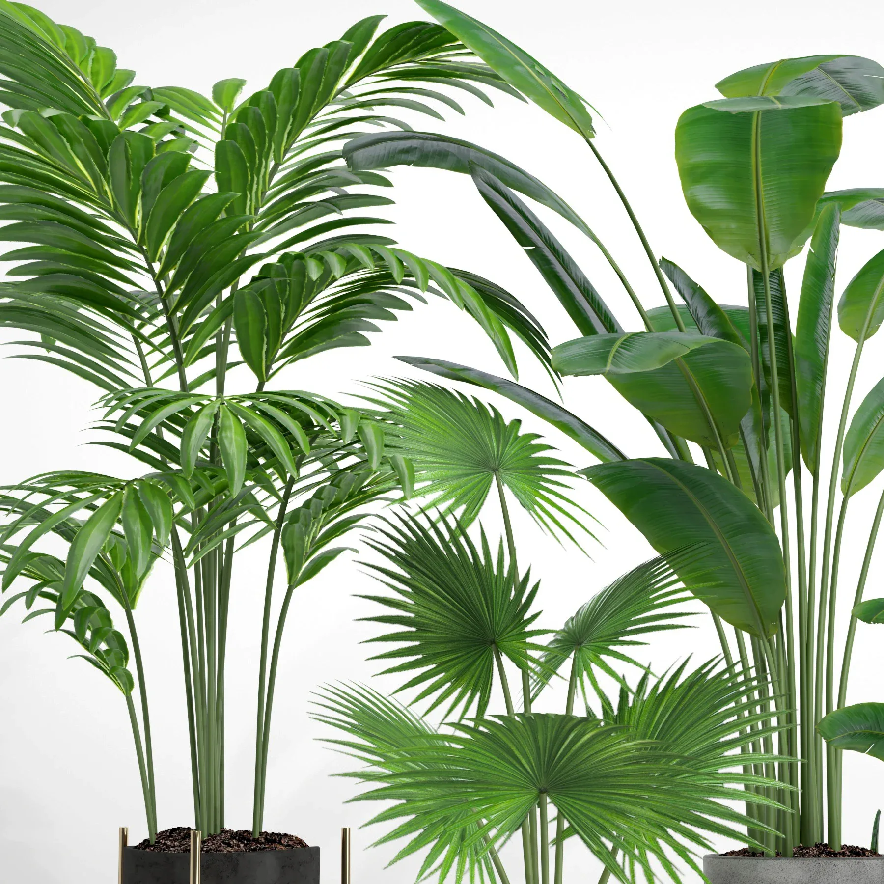 indoor plant set002