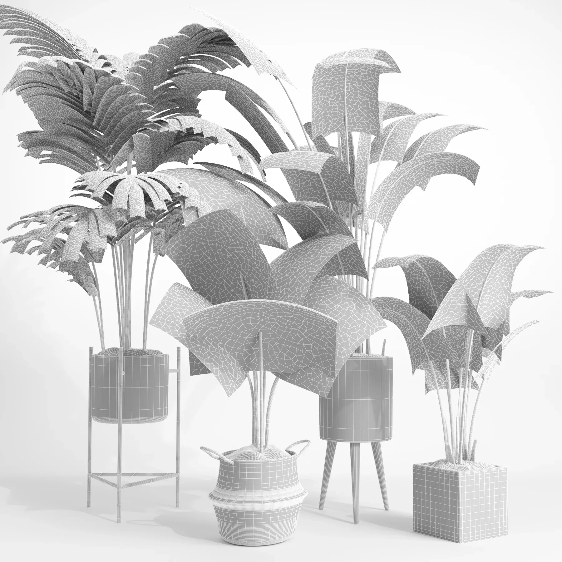 indoor plant set002